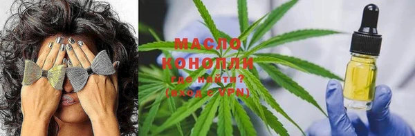 гашик Алексеевка