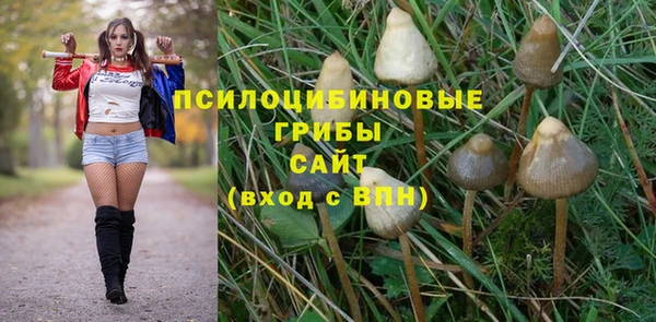 гашик Алексеевка