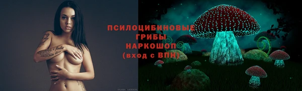 PSILOCYBIN Алексин