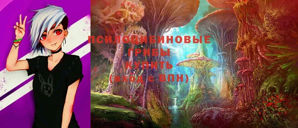 PSILOCYBIN Алексин