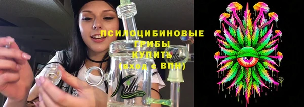 гашик Алексеевка